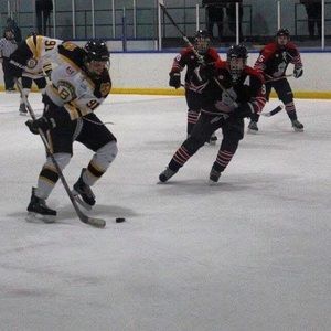 Meet your Posher, Elliott